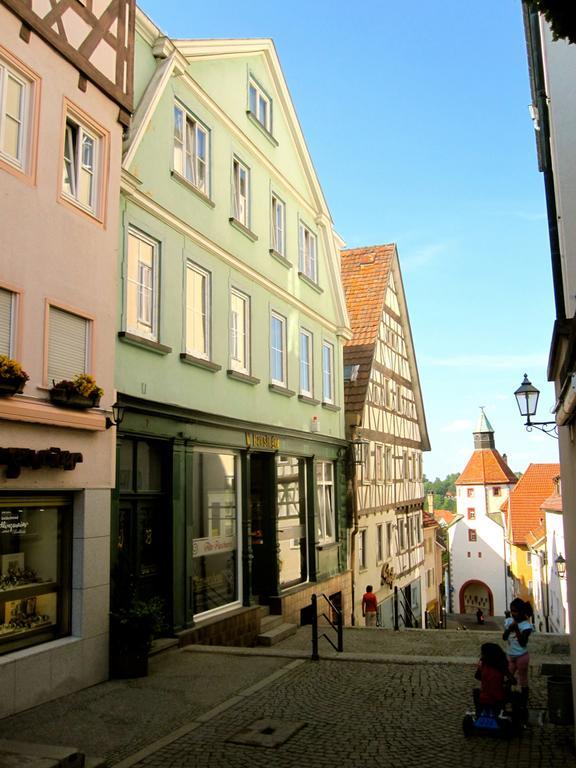 Ferienwohnung Am Ziegelbach Hechingen Buitenkant foto