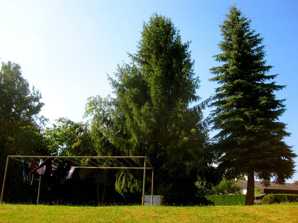 Ferienwohnung Am Ziegelbach Hechingen Buitenkant foto